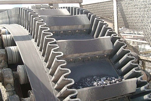 ناقل الجدار الجانبي